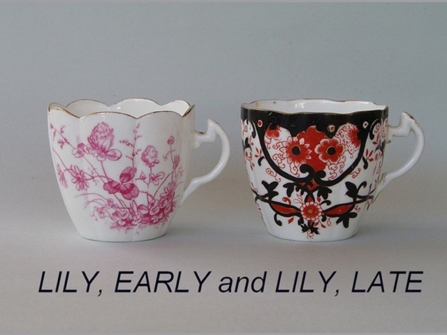 LILY, EARLY and LILY, LATE